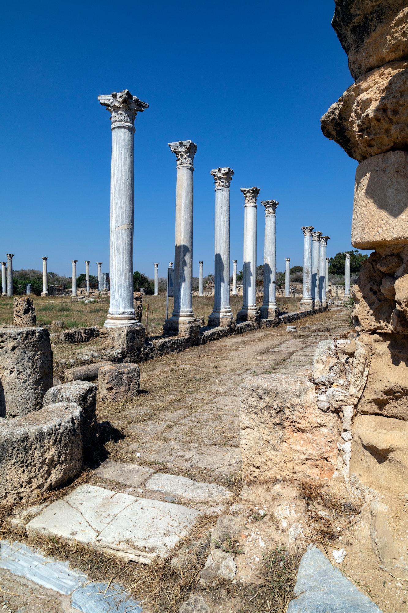 The ruins of Salamis - Turkish Cyprus